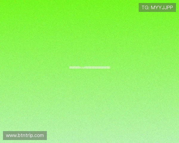 一站式篮球直播app打造沉浸式赛事观看与互动新体验平台